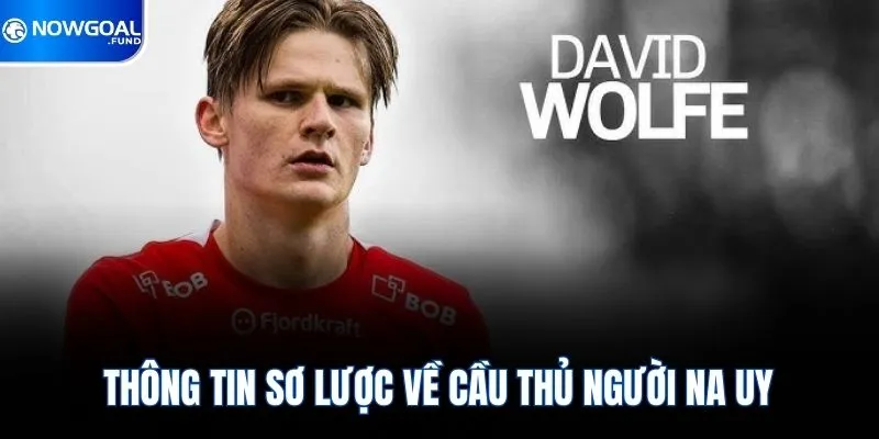 Thông tin sơ lược về cầu thủ người Na Uy